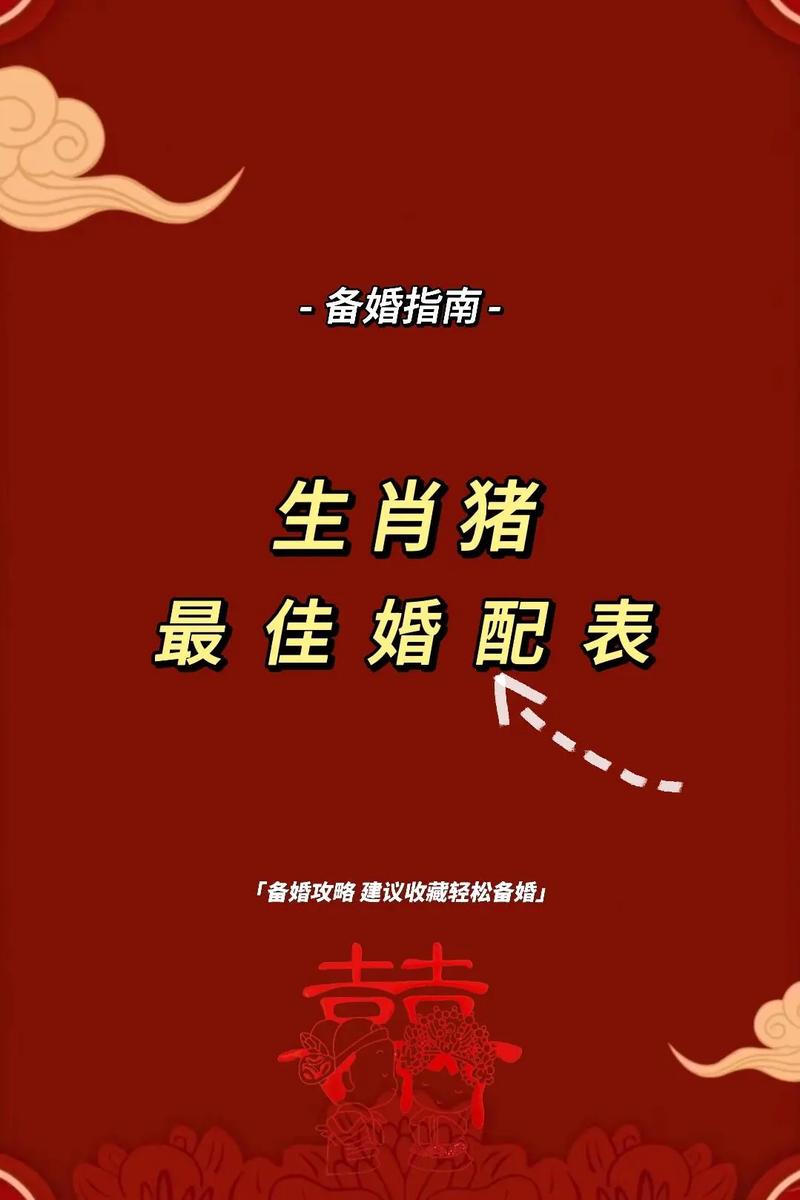 1995年属猪的人今年姻缘如何改变才能迎来美满姻缘？