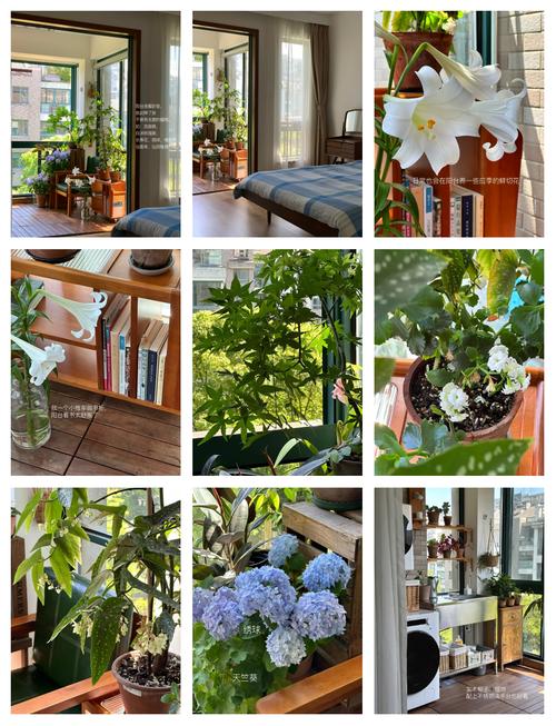 卧室摆放植物对风水有影响吗？