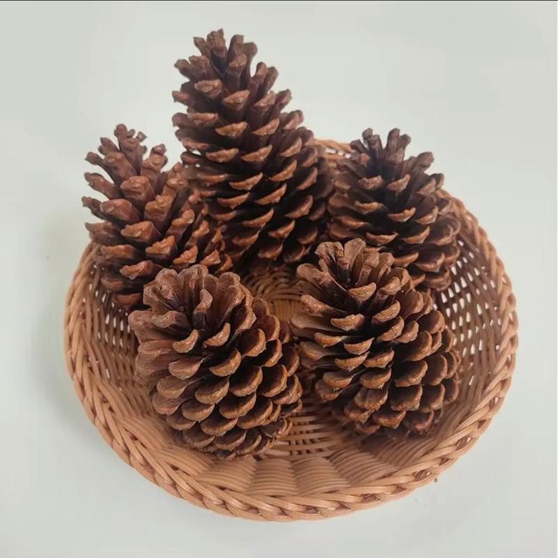 松塔作为风水摆件，适合摆放在家中吗？