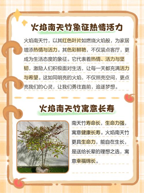 命中缺火如何通过种植什么植物来补火改运？