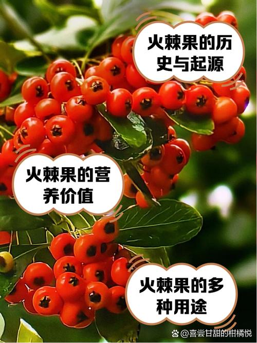 熟透的果实为何就是生命的象征？大驿土命究竟有何特殊含义？