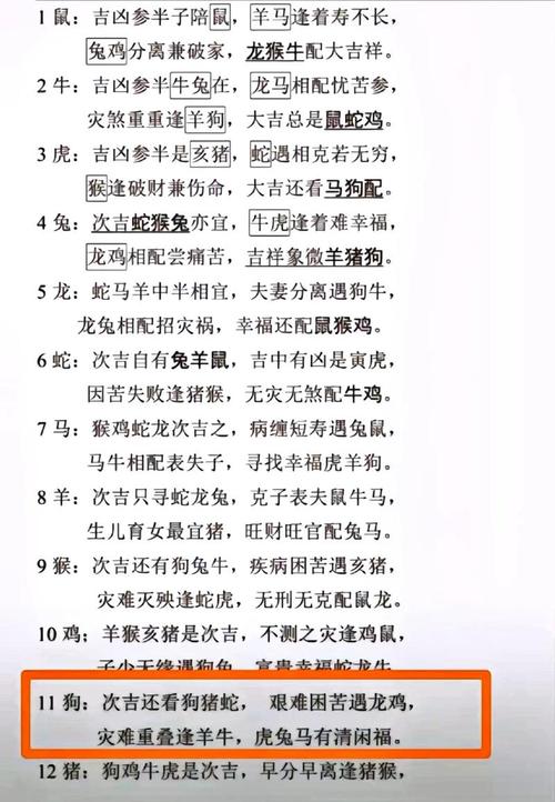 1994年狗年腊月出生的人命运如何？详细解析其性格特点和未来运势？