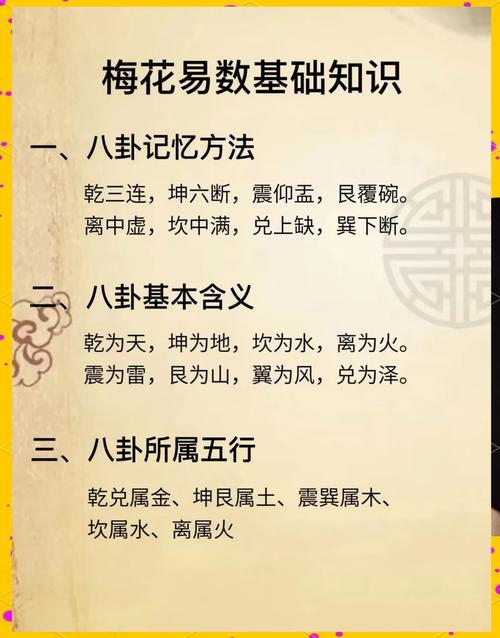学习风水时，是否需要掌握梅花易数来提升预测能力呢？