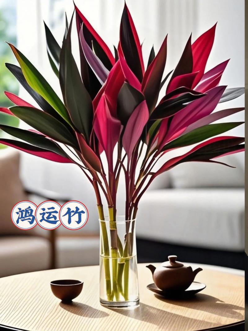 家里种植紫竹是否会影响家居风水布局？