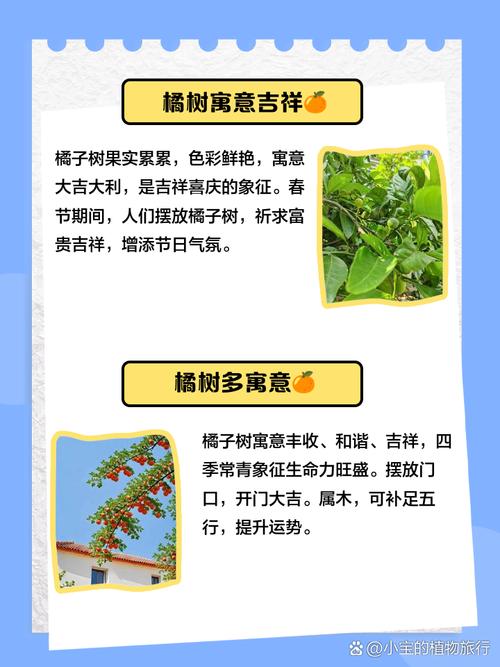 门前摆放橙子对风水有好处吗？