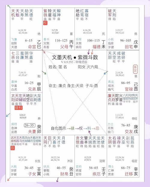 天相入命盘在紫微斗数中具体含义是什么？