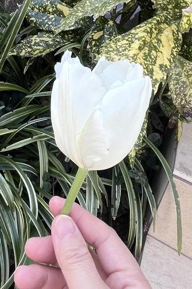 什么样的人会拥有无疾而终的命格？