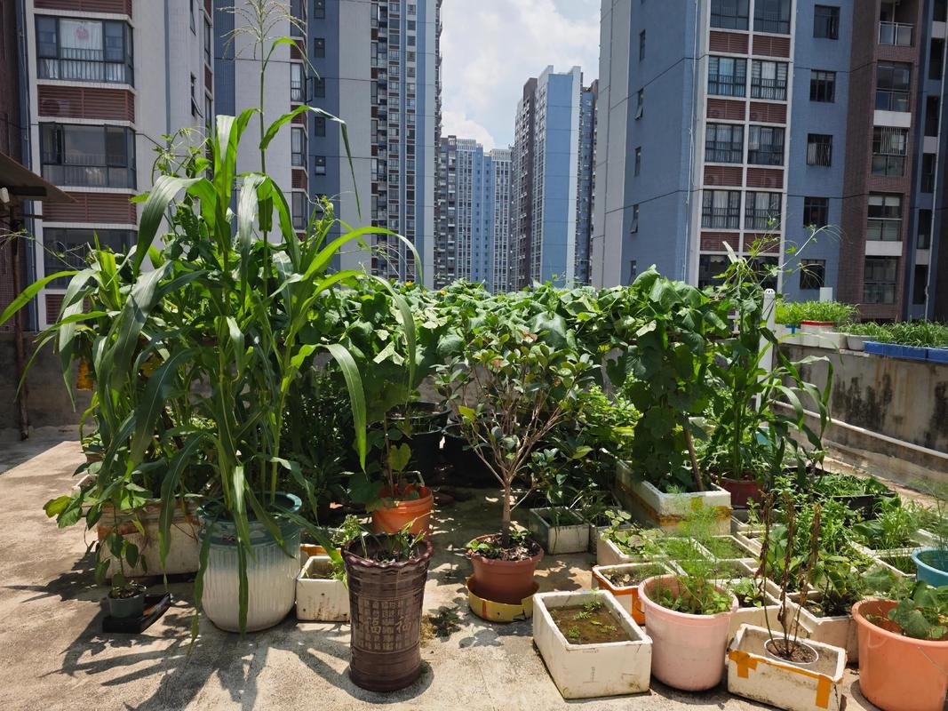 阳台花盘裂开会对家居风水产生什么影响？