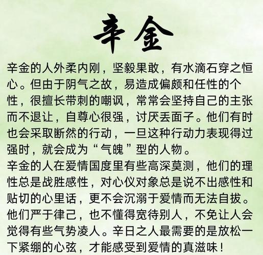 辛金命的人适合做什么工作？他们通常缺少哪些能力或特质？
