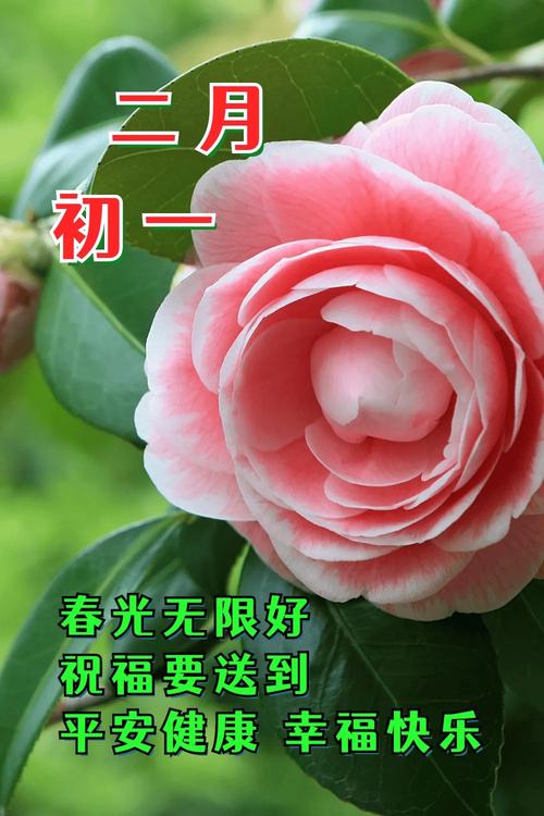 2026年3月19日农历二月初一安门吉吗？这天安门合适吗？