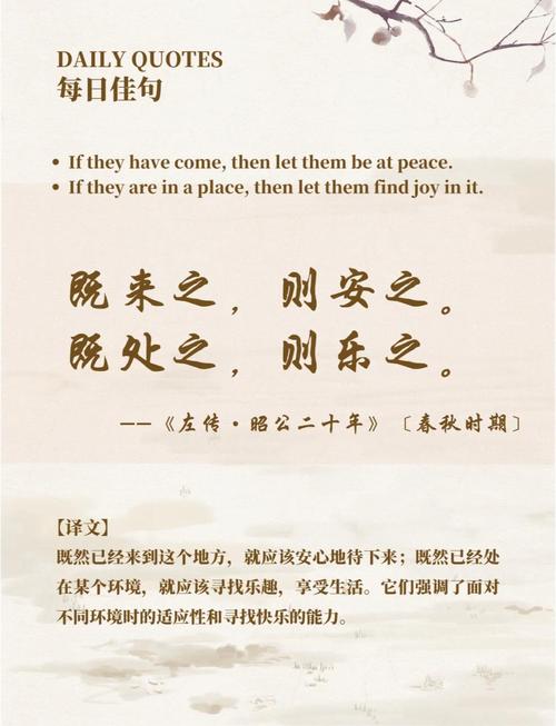 知命安命与既安之则安之的含义是什么？