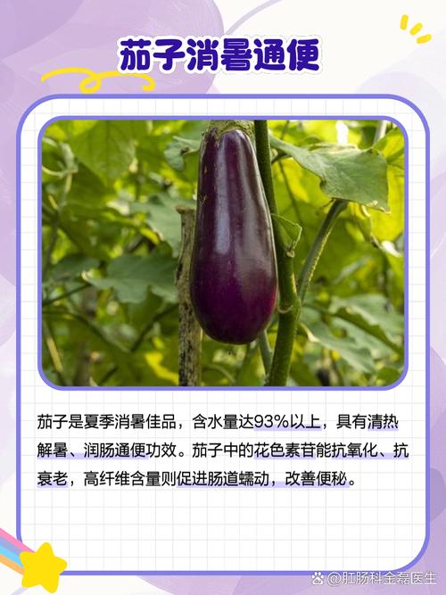 家里种茄子会影响风水吗？有没有什么讲究？