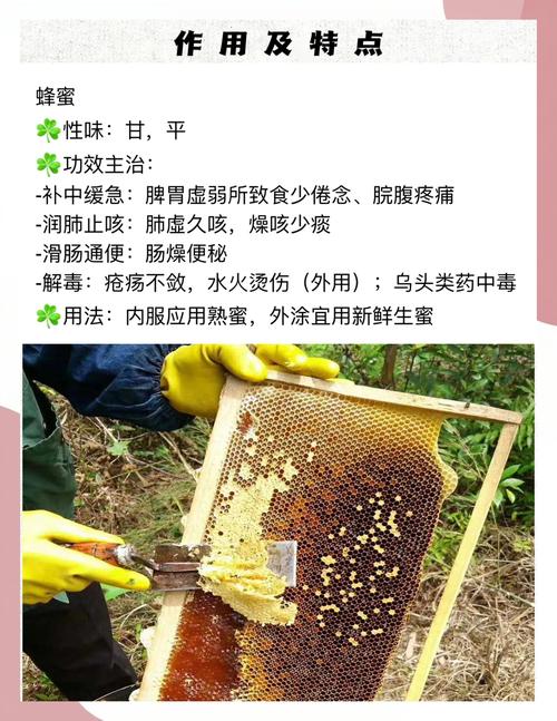 蜂蜜风水对缓解咳嗽有效吗？