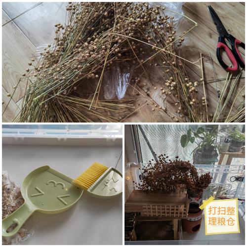 房间里有果冻摆放，这样的风水布局合适吗？