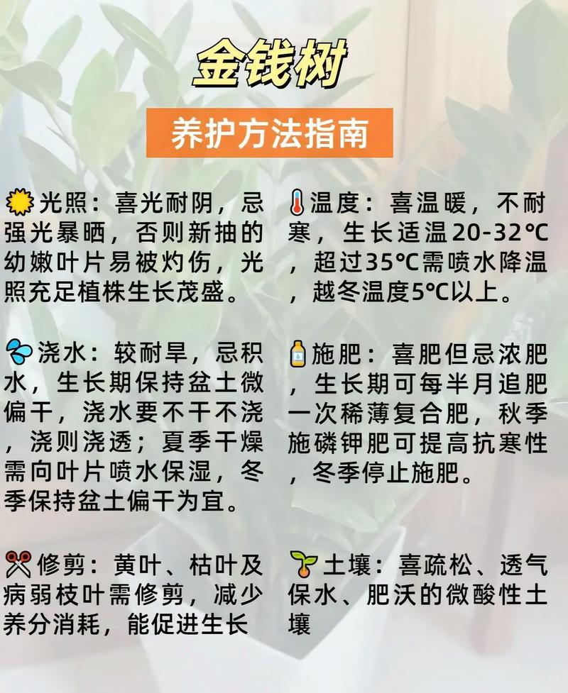 种树真的能起到保护风水的作用吗？