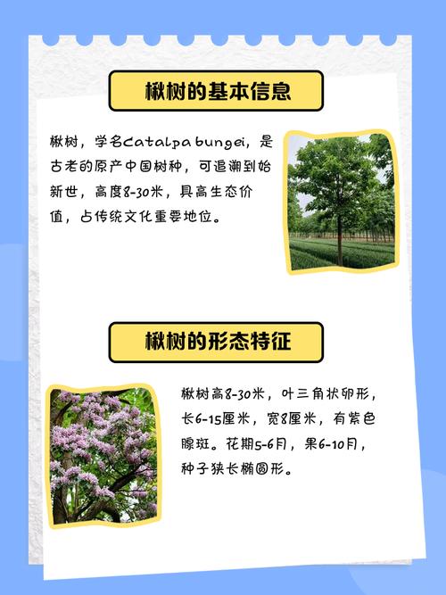 秋天是否必须砍伐风水树？