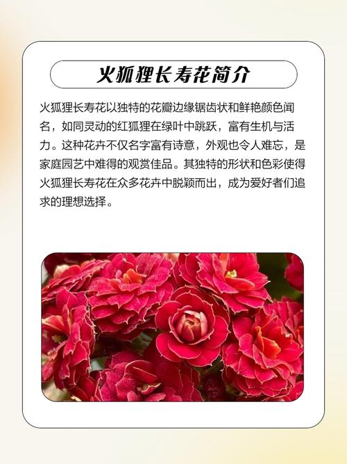 火命和土命的人适合种植哪种花？这对夫妻的命理相配吗？