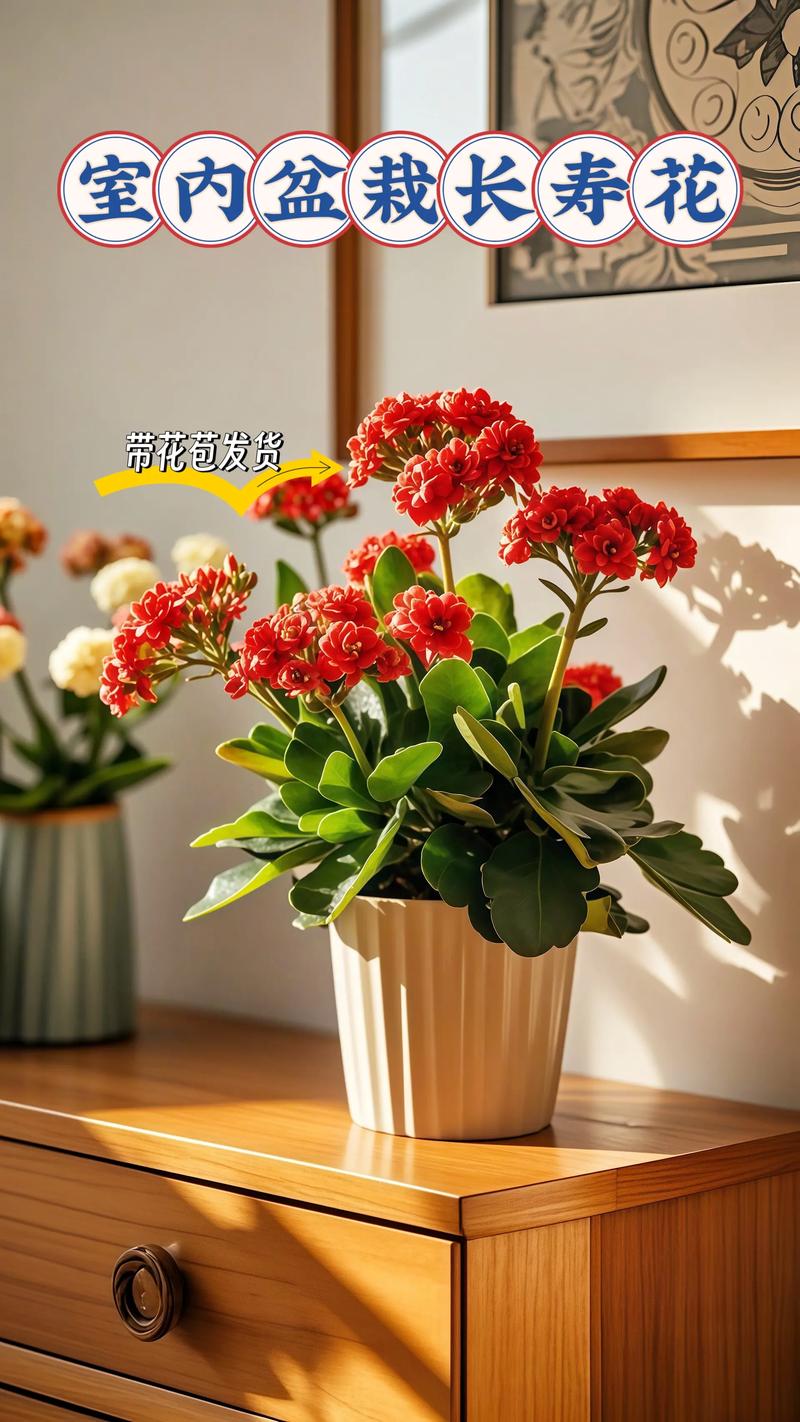 家里摆放真花会对家居风水产生哪些不利影响？