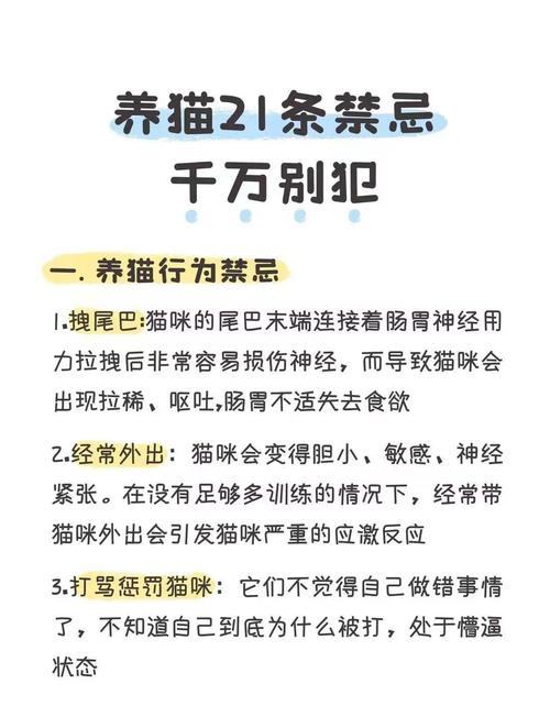 养猫需要考虑风水因素吗？这真的有依据吗？