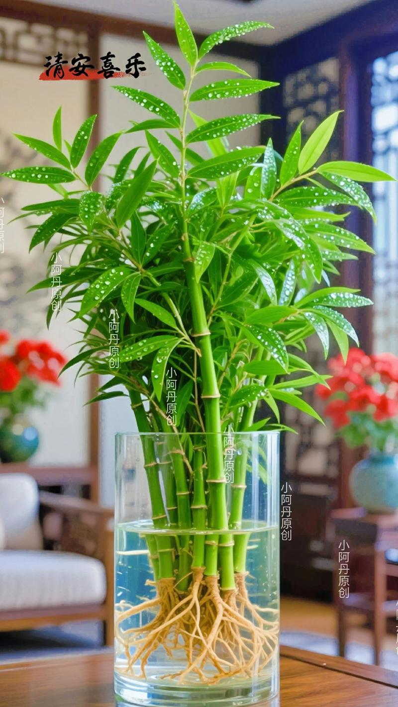 床边摆放竹子对家居风水有影响吗？