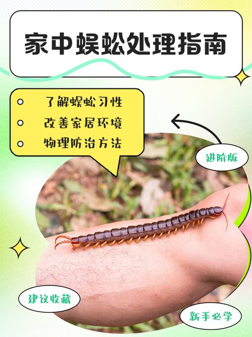 室内有蜈蚣是否触犯了风水禁忌，有什么讲究吗？