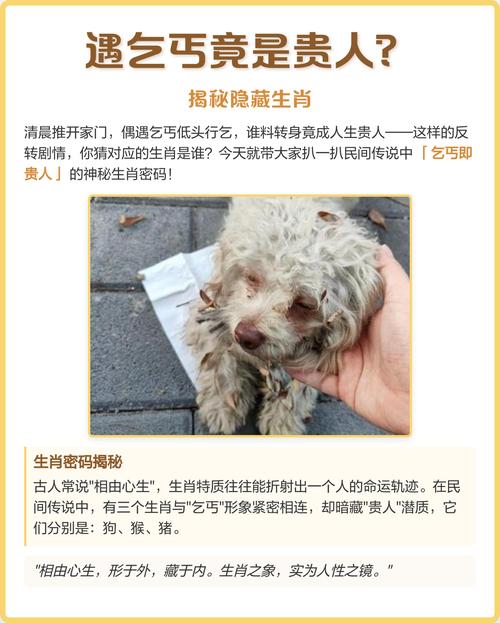 哪些生肖的人命运注定是乞丐？