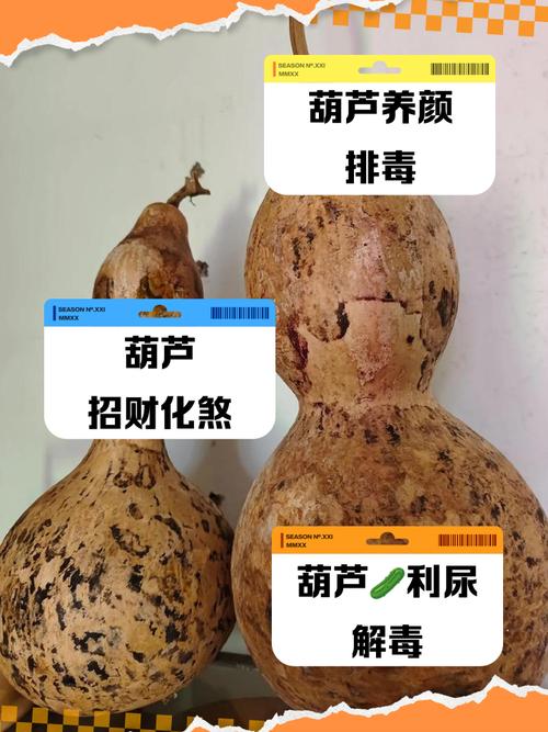 风水葫芦里的籽需要去除吗？有什么讲究？