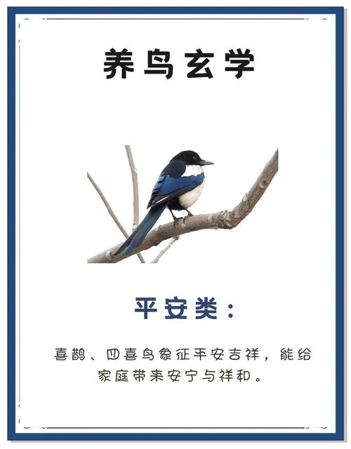 门口适合养鸟吗？这样的风水布局是否吉利？
