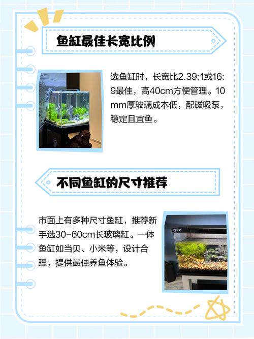 将九条金鱼分缸养是否会影响家居风水布局呢？