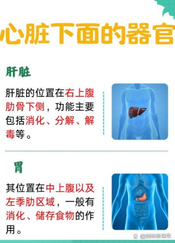 风水布局对心脏健康可能产生哪些具体影响？