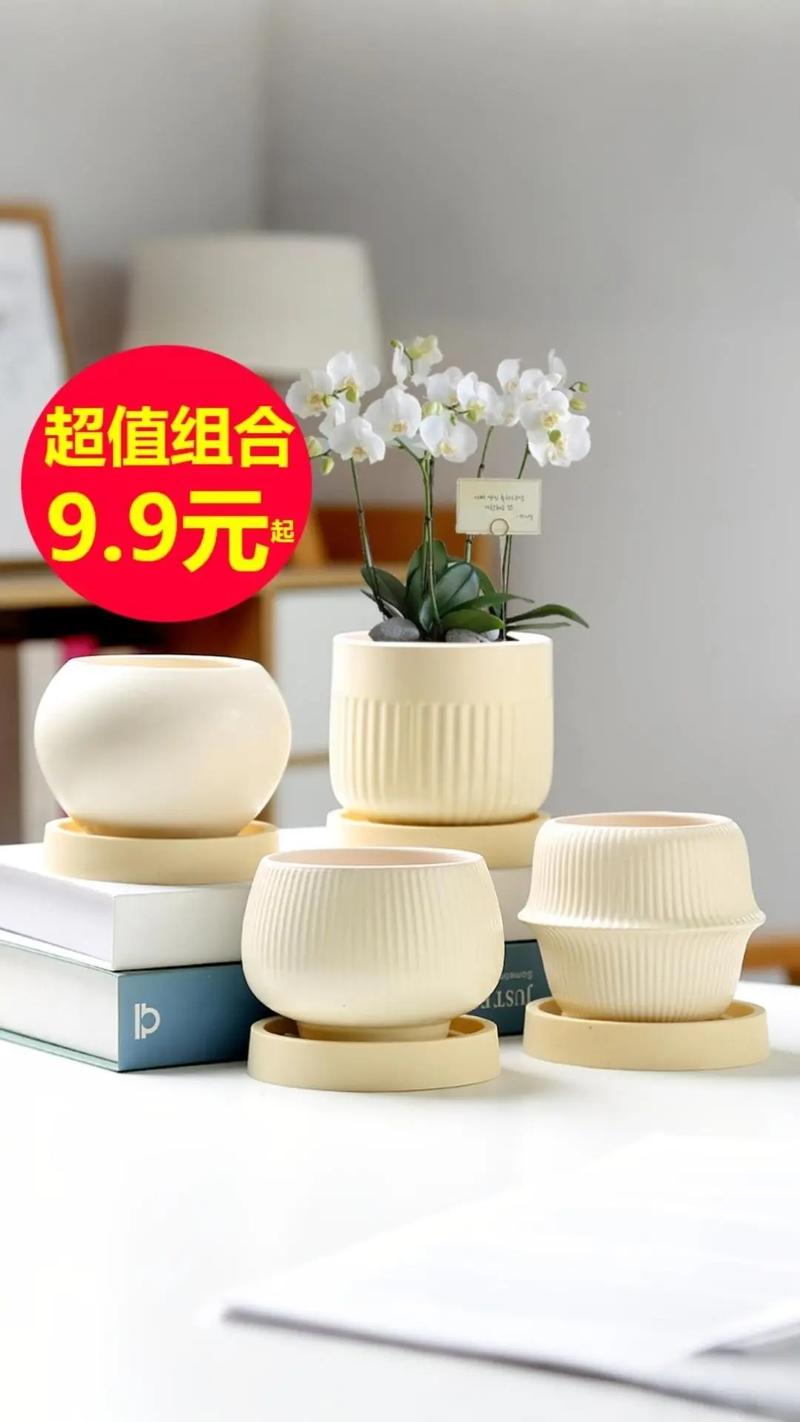 白色花盆对风水有怎样的影响或作用？