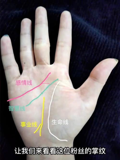 手相中劳碌命特征：事业线杂乱、感情线短、生命线曲折；享福命特征：事业线清晰、感情线长、生命线平稳。如何通过手相为老来享福？
