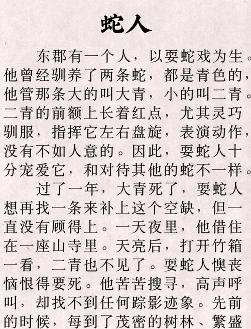 《白蛇之命》与《白蛇传》有何关联，它们共同传达了哪些人生哲理？