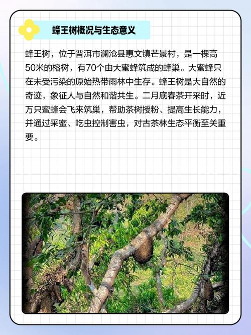 树下养蜂风水适宜吗？