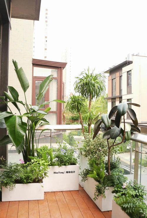 露台种草会对住宅风水产生怎样的影响呢？