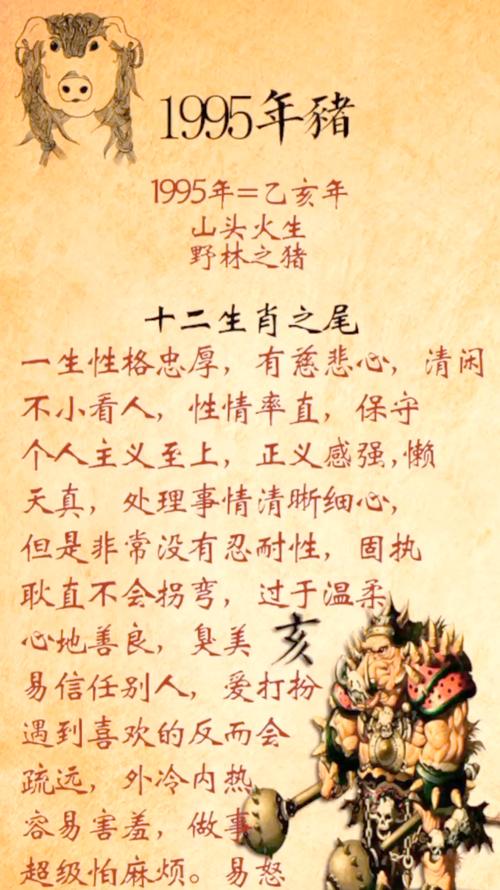 1995年己亥年出生的人是什么命？