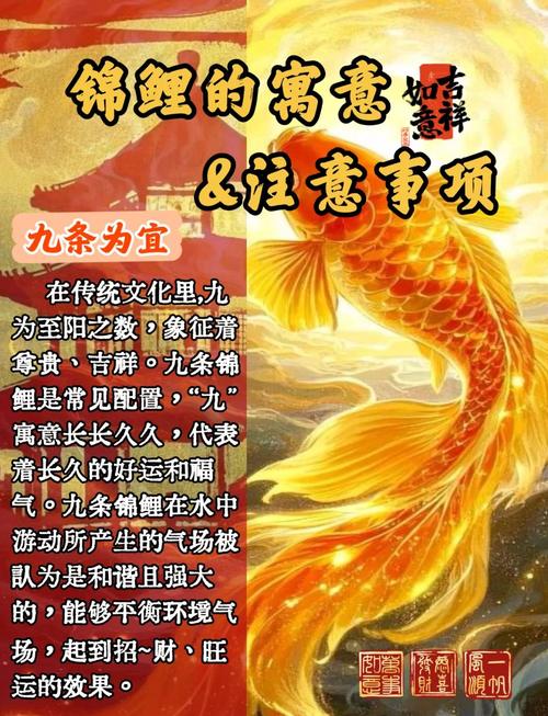 锦鲤命的福星是何物？养几条锦鲤最旺财？