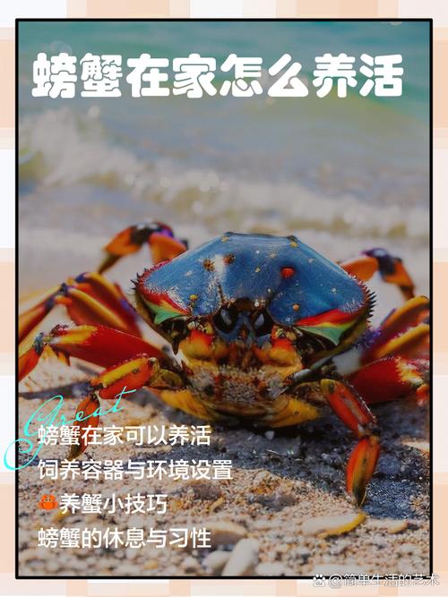 家里养螃蟹会影响家居风水吗？