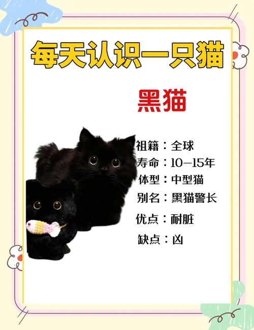 黑猫挂件对家居风水有怎样的影响或作用？