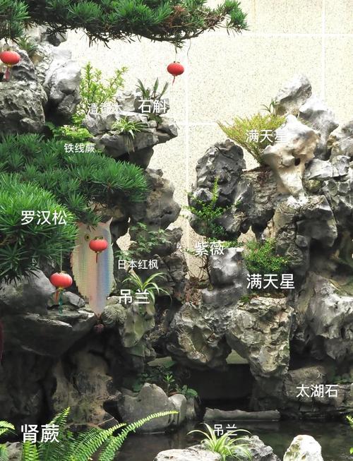 鱼池风水注意事项有哪些具体细节需要特别注意？