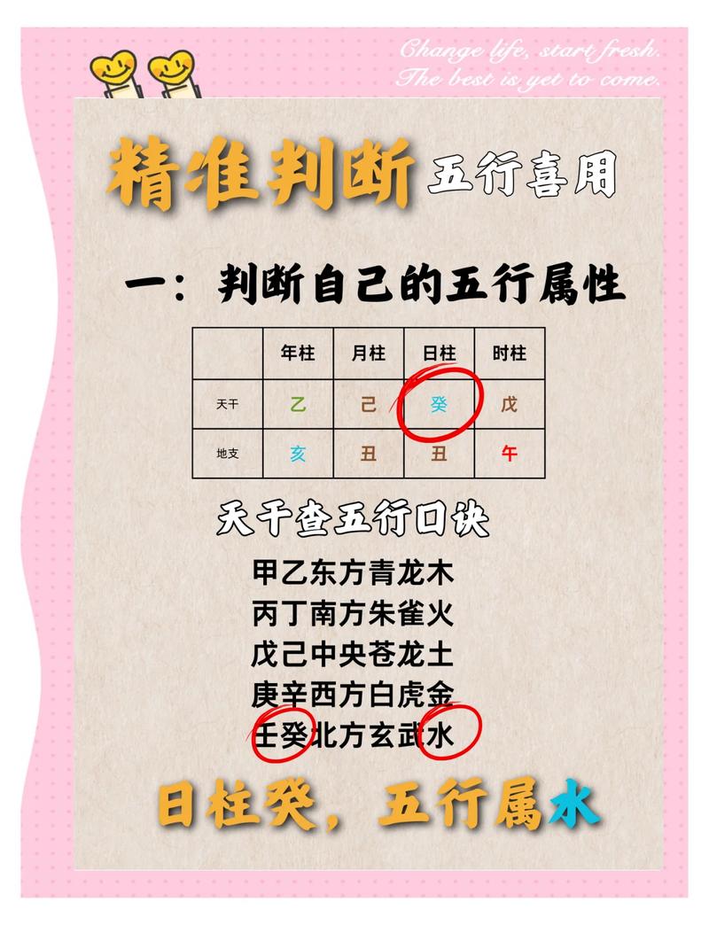 我是什么命，是极阴命还是极阳命？如何查询自己的阴命阳命？