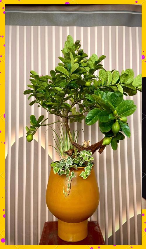 卧室摆放风水柠檬有什么讲究或禁忌？