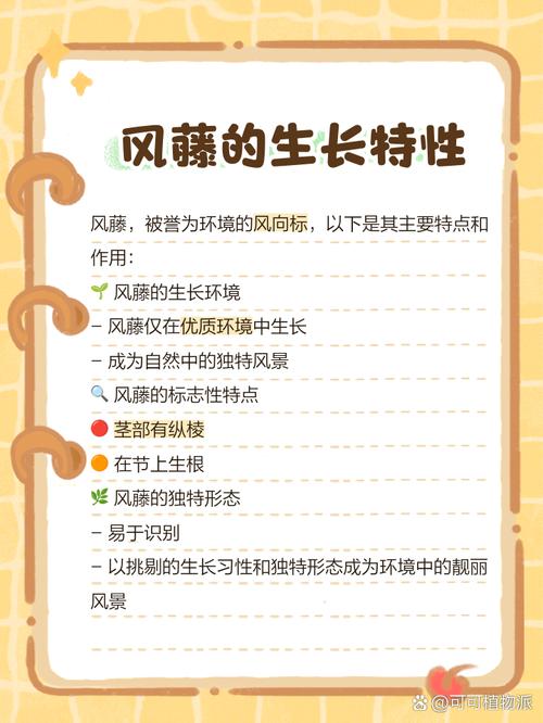 藤蔓类植物对风水有何具体影响？