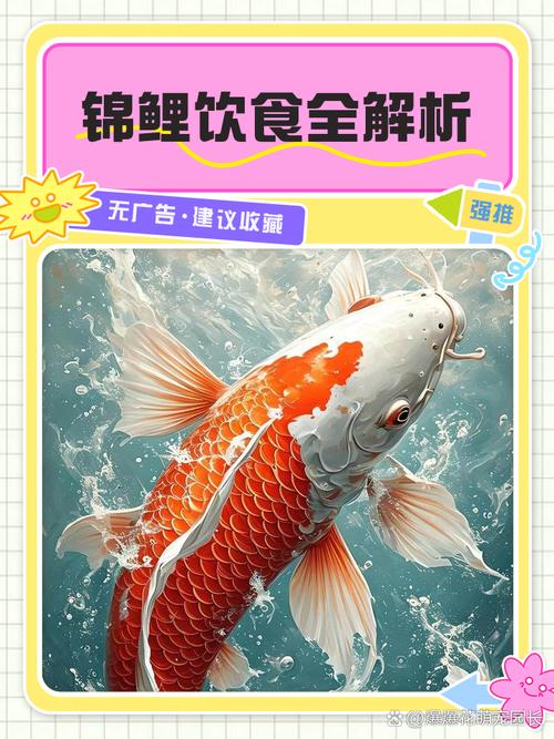 风水锦鲤不幸离世后，其肉身能否成为餐桌上的佳肴呢？
