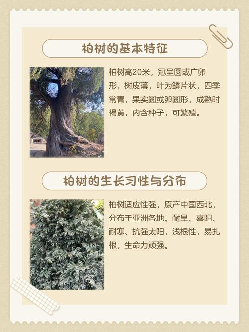 柏木真的对家居风水有显著影响吗？