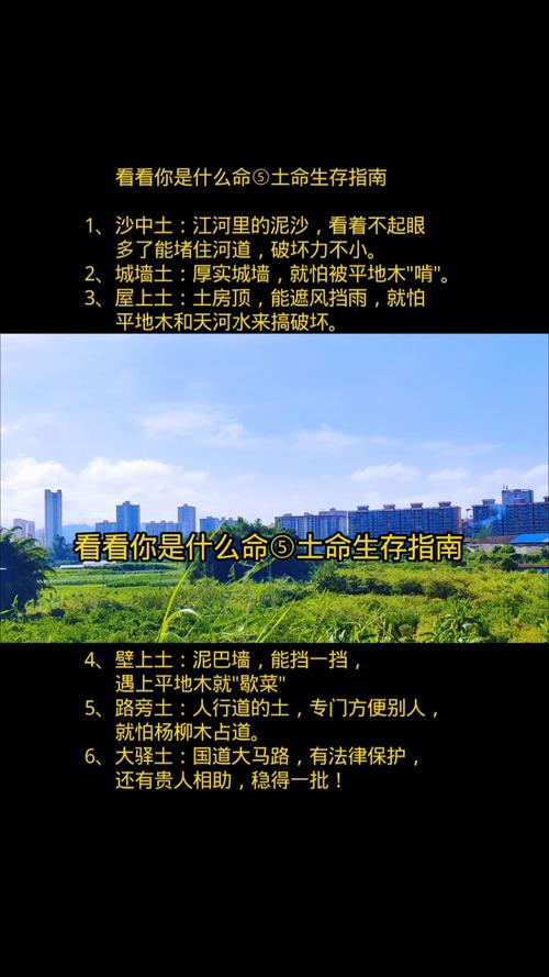 土命人最适合哪种土以及如何增强土命运势？