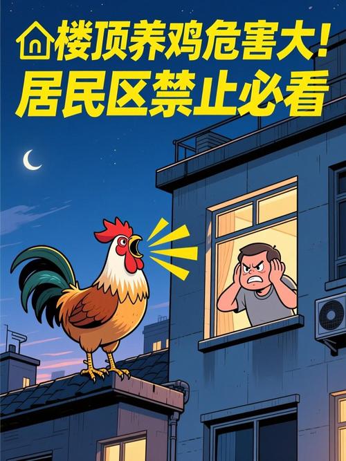 楼顶养鸡的风水影响有哪些具体表现？