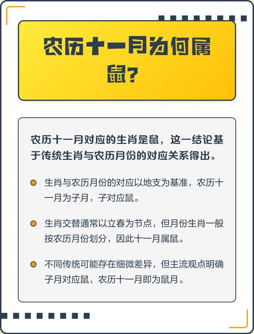 十一月的鼠究竟属于什么命？这个月份的生肖命运有何特点？
