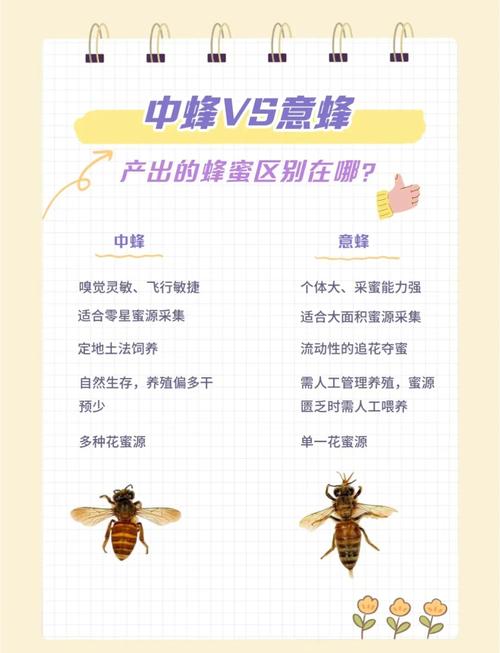 养蜂选址时，周围环境的风水对蜜蜂是否有毒有害，该如何判断？