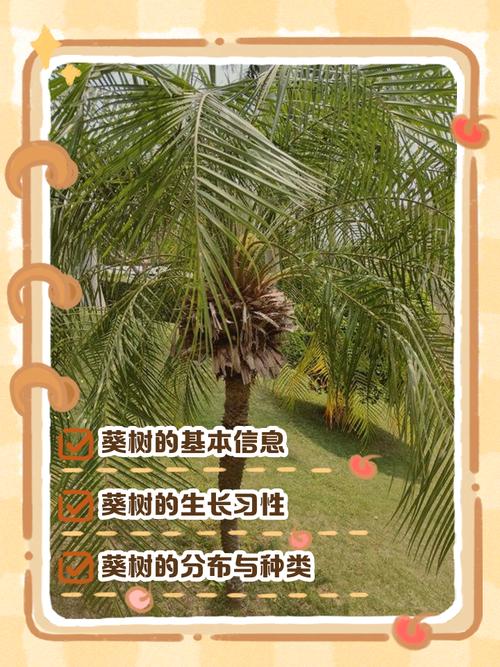 蒲葵树种植在住宅周围是否会对家庭风水产生不良影响？